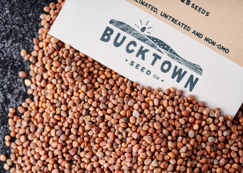 Storing Seeds for Future Use - How long will your seeds last? How do you store seeds to make sure they stay viable?