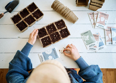 How to Start Seeds Indoors: A Practical Guide for Vegetables, Herbs & Flowers