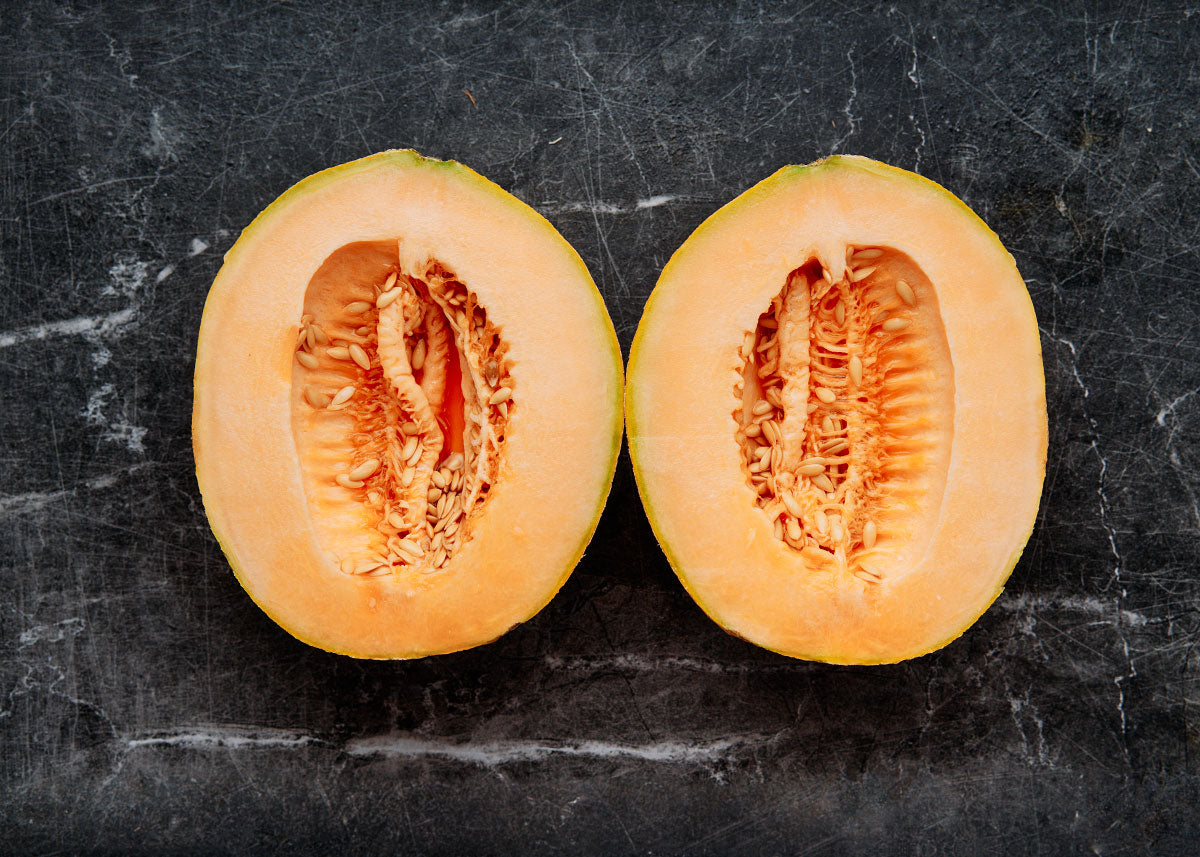 ■MELON＊■ Melon Shockwave F1 Seed – Harris Seeds