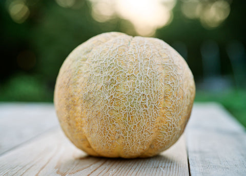 Amish - Organic Melon Cantaloupe Seeds