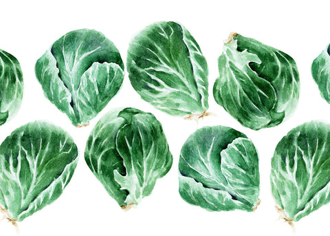 Catskill - Brussels Sprout Seeds