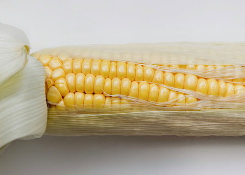Rooted in America - Heirloom Seed Kit