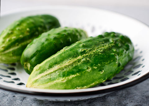 Bushy - Organic Cucumber Seeds