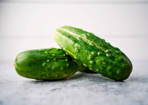Bushy - Organic Cucumber Seeds
