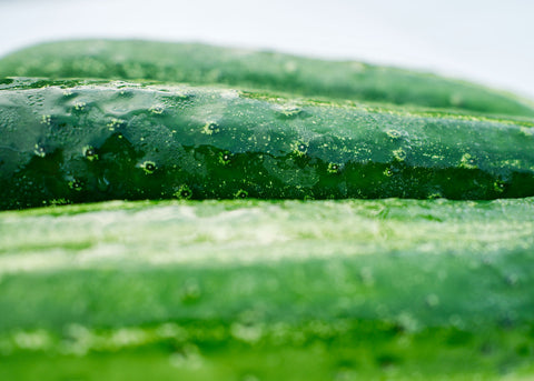 Straight Eight - Organic Cucumber Seeds