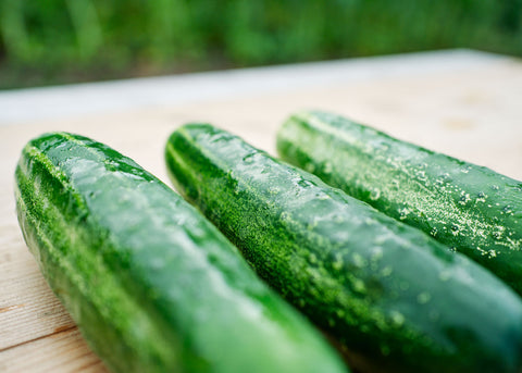 Straight Eight - Organic Cucumber Seeds