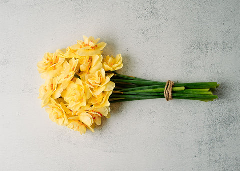 Tahiti - Narcissus Bulbs