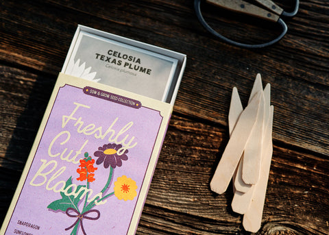 Freshly Cut Blooms - Cut Flower Bouquet Seed Kit