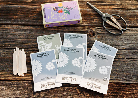 Freshly Cut Blooms - Cut Flower Bouquet Seed Kit