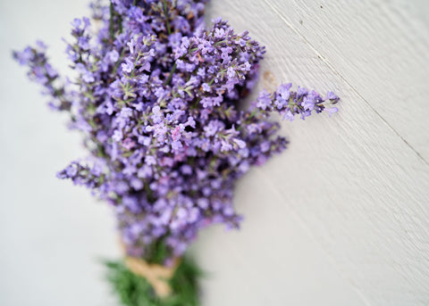 Lavender - Organic Herb Seeds