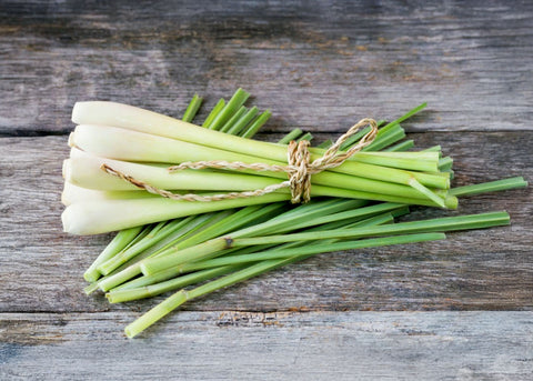 Lemongrass - Herb Seeds