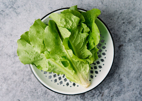 Buttercrunch - Organic Lettuce Seeds