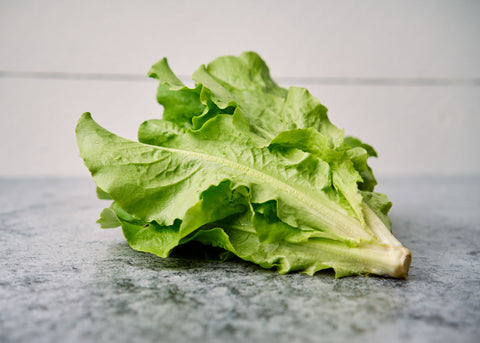 Buttercrunch - Organic Lettuce Seeds