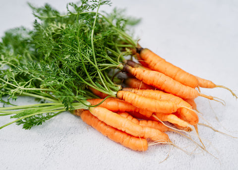 Little Fingers - Carrot Seeds - Organic