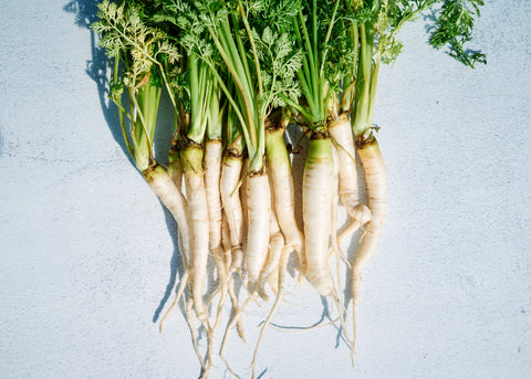 Lunar White - Carrot Seeds