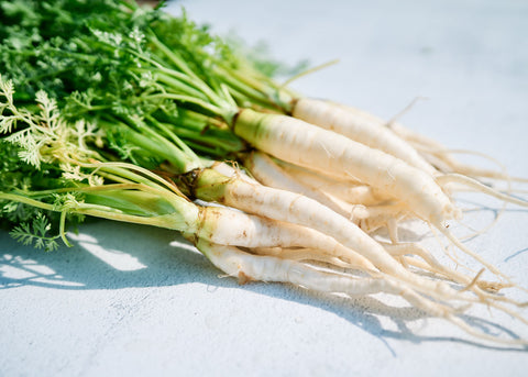 Lunar White - Carrot Seeds