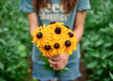 Marmalade - Rudbeckia Seeds