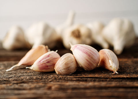 Music - Garlic Bulbs