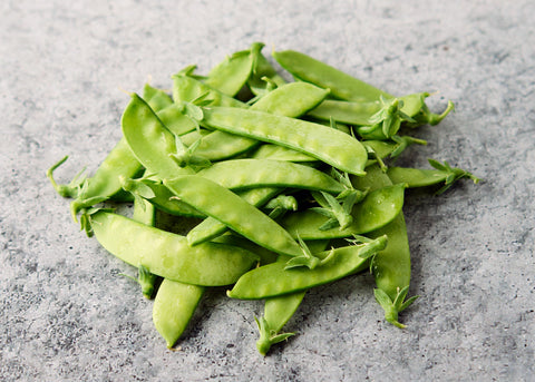 Oregon Sugar Pod II - Organic Snow Pea Seeds
