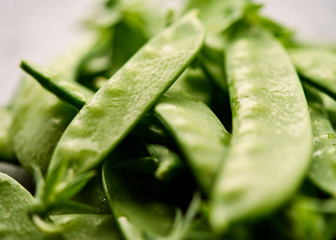 Oregon Sugar Pod II - Organic Snow Pea Seeds