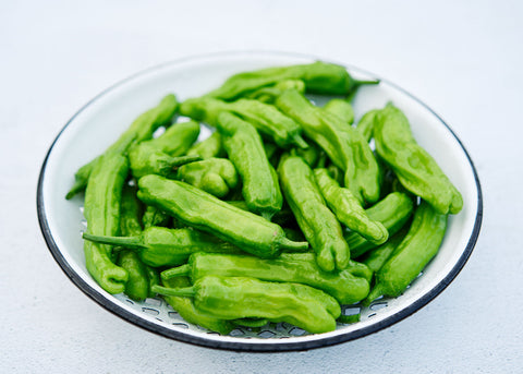 Shishito - Organic Sweet Pepper Seeds