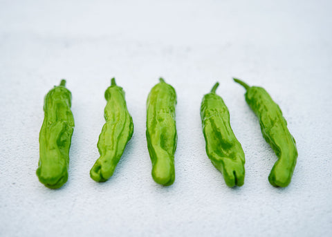 Shishito - Organic Sweet Pepper Seeds