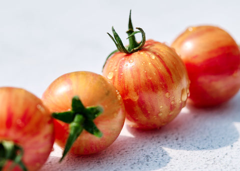 Pink Bumble Bee - Tomato Seeds