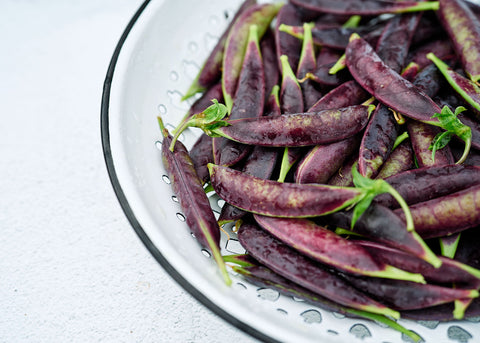 Sugar Magnolia - Organic Snap Pea Seeds