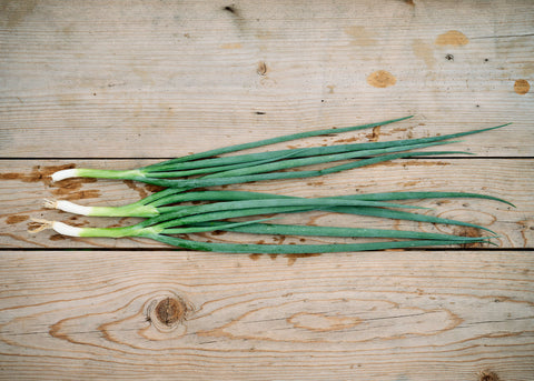 Tokyo Long White Bunching - Organic Onion Seeds