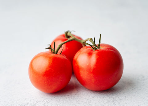 Ace 55 - Organic Tomato Seeds