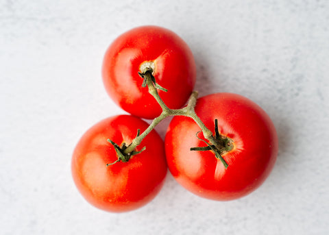 Ace 55 - Organic Tomato Seeds