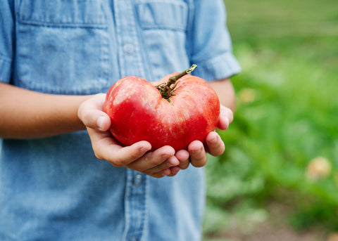 Rooted in America - Heirloom Seed Kit