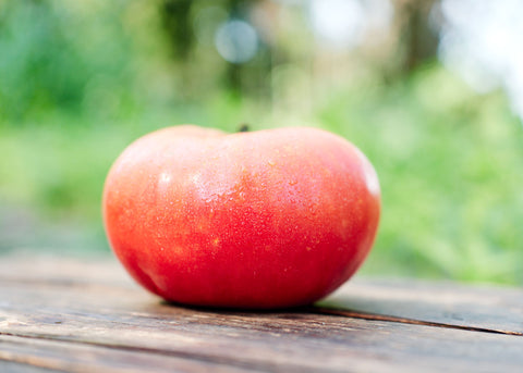 Pink Brandywine - Organic Tomato Seeds