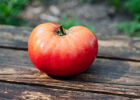 Pink Brandywine - Organic Tomato Seeds