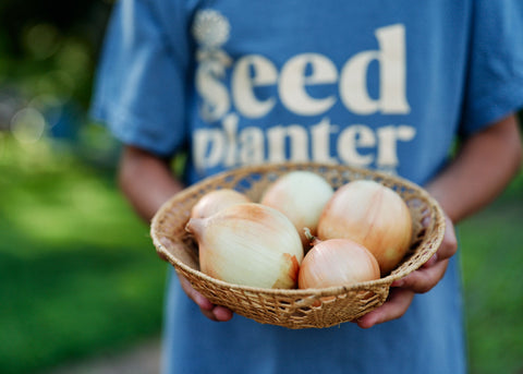 Walla Walla - Organic Onion Seeds