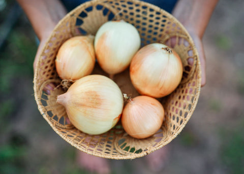 Walla Walla - Organic Onion Seeds