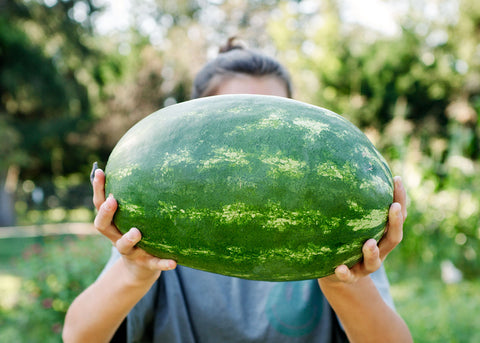 Tendersweet Orange - Organic Watermelon Seeds