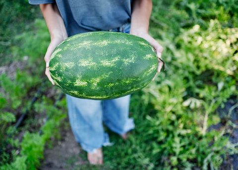 Tendersweet Orange - Organic Watermelon Seeds