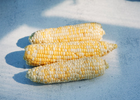 Who Gets Kissed - Corn Seeds