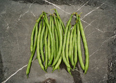Jade - Bush Bean Seeds