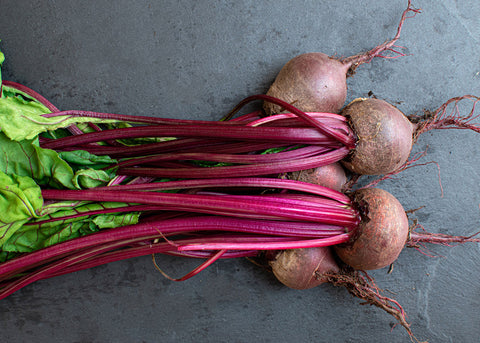 Heirloom Seeds_Beets Detroit Dark Red_Bucktown Seed Company-01