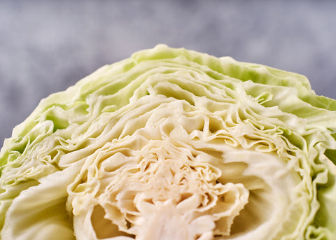 Heirloom Seeds_Cabbage Early Jersey Wakefield_Bucktown Seed Company-04