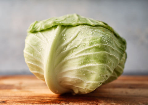 Heirloom Seeds_Cabbage Late Flat Dutch_Bucktown Seed Company-05