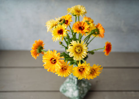 Heirloom Seeds_Calendula_Bucktown Seed Company-03