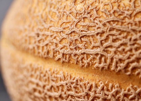 Heirloom Seeds_Cantaloupe_Hales Best Jumbo_Bucktown Seed Company-03
