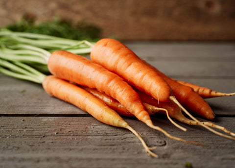 Heirloom Seeds_Carrot Parisian_Bucktown Seed Company-03