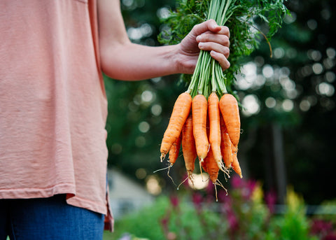 Heirloom Seeds_Carrot Nantes Scarlet_Bucktown Seed Company-03