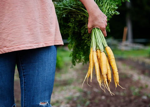 Heirloom Seeds_Carrot Solar Yellow_Bucktown Seed Company-03