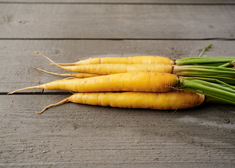 Heirloom Seeds_Carrot Solar Yellow_Bucktown Seed Company-05