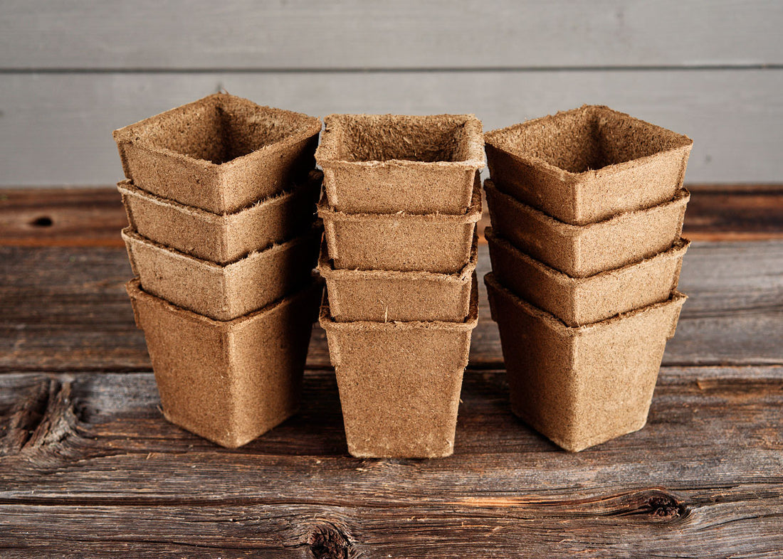 Biodegradable Garden Pots - 4&quot; Square CowPots – 12 Pots
